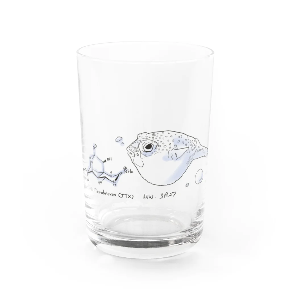 有機合成屋のテトロドトキシンとフグ Water Glass :front