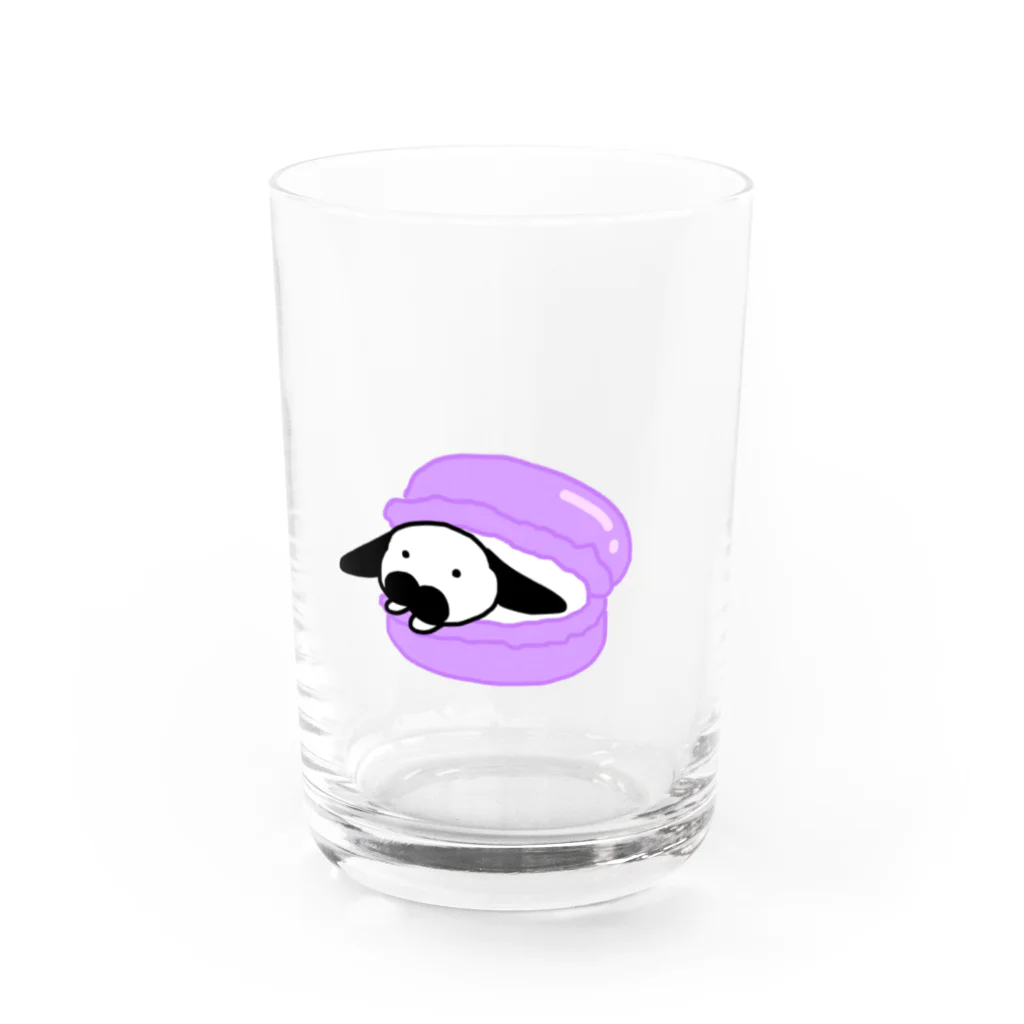 うさぎのUSA（うーさ）🐰のうさマカロンぱーぷる Water Glass :front