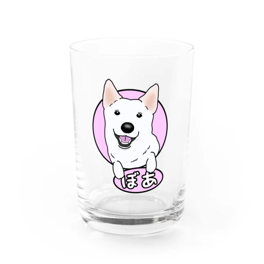 PetTee(ペッティー)のぼあちゃん Water Glass :front