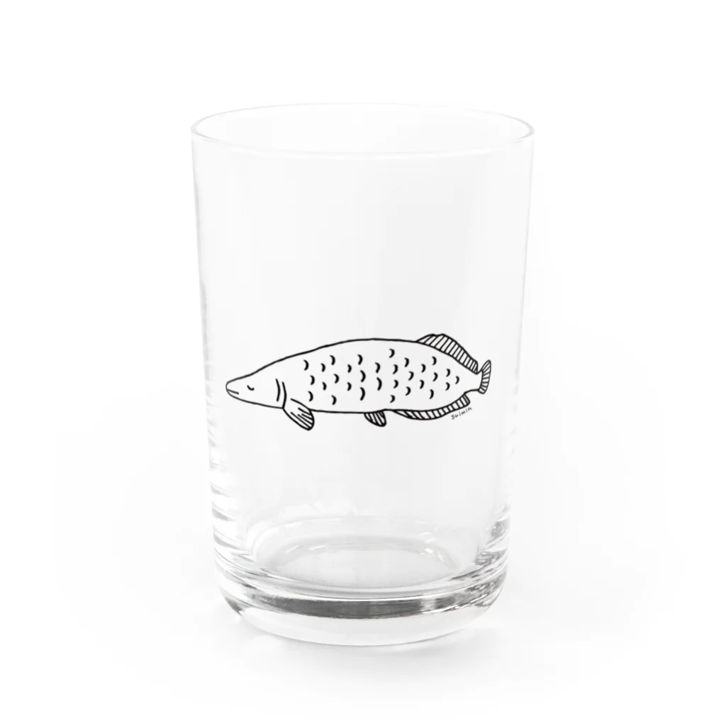 ドコドコ研究所のねむみピラルク Water Glass :front