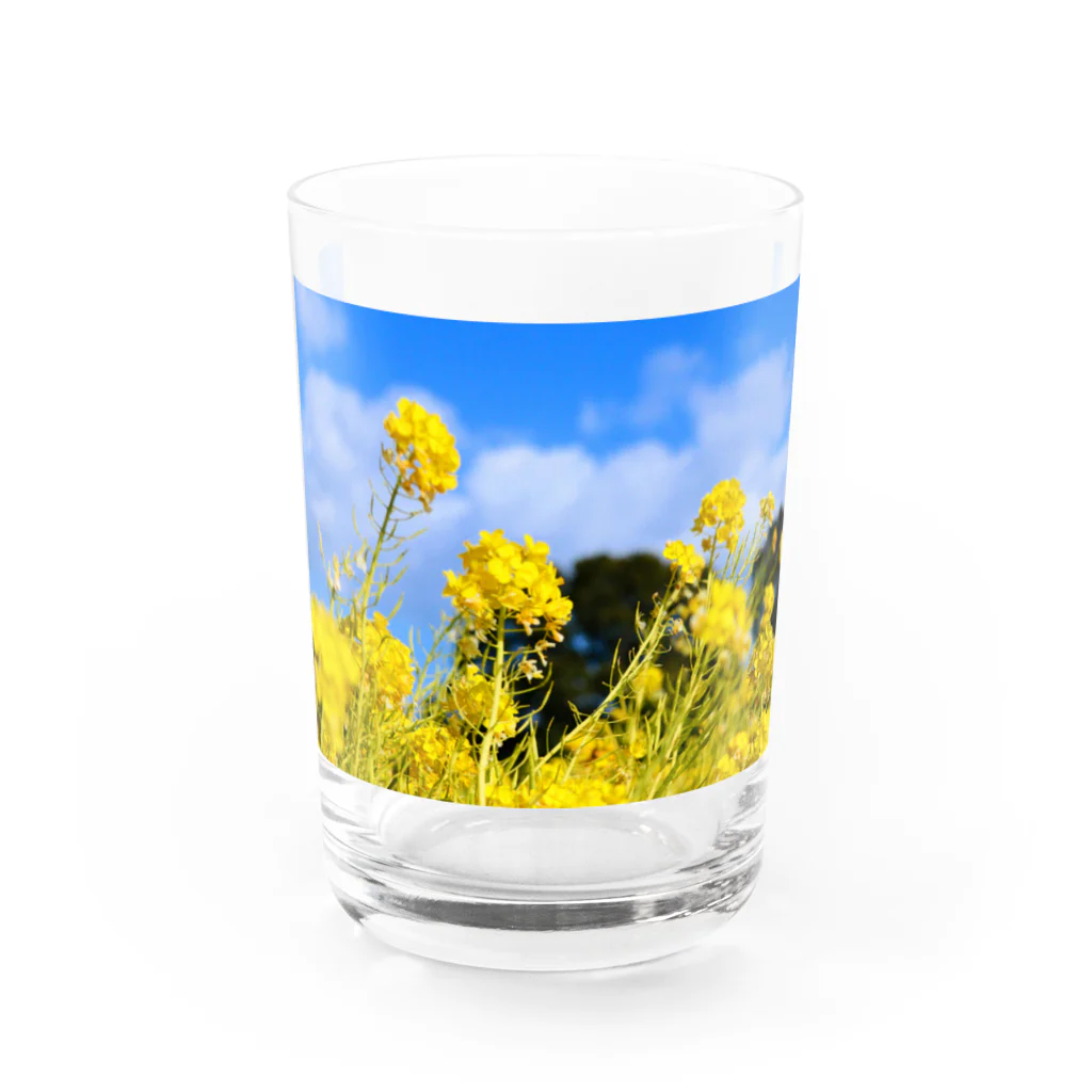 yujisato0514の九州の身近な景色 Water Glass :front