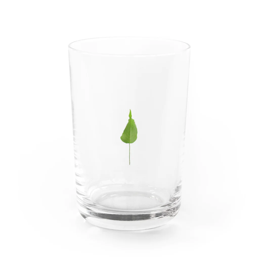 Po_Po_Factoryのそのへんに生えてた緑色の草木 Water Glass :front