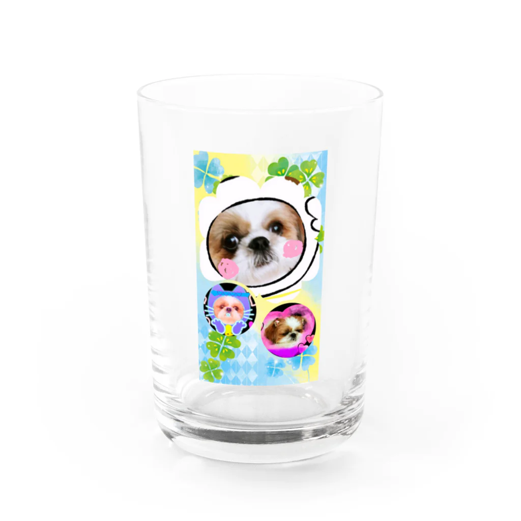 心メロンのシーズーグッズ Water Glass :front