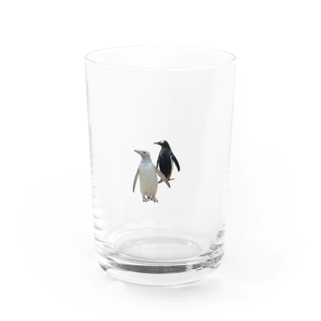 ひであのエディンバラのジェンツーペンギン Water Glass :front