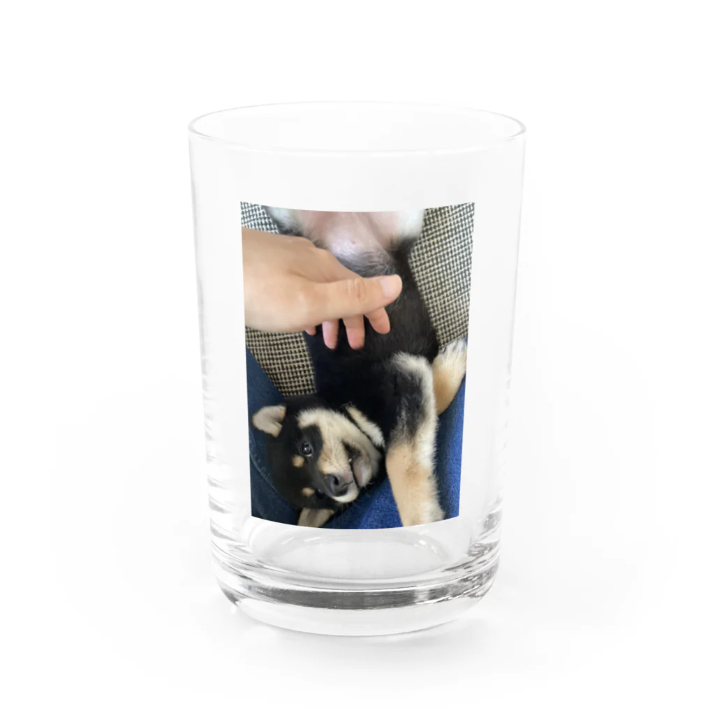 たま子100%のくつろぎたま子のコップ Water Glass :front