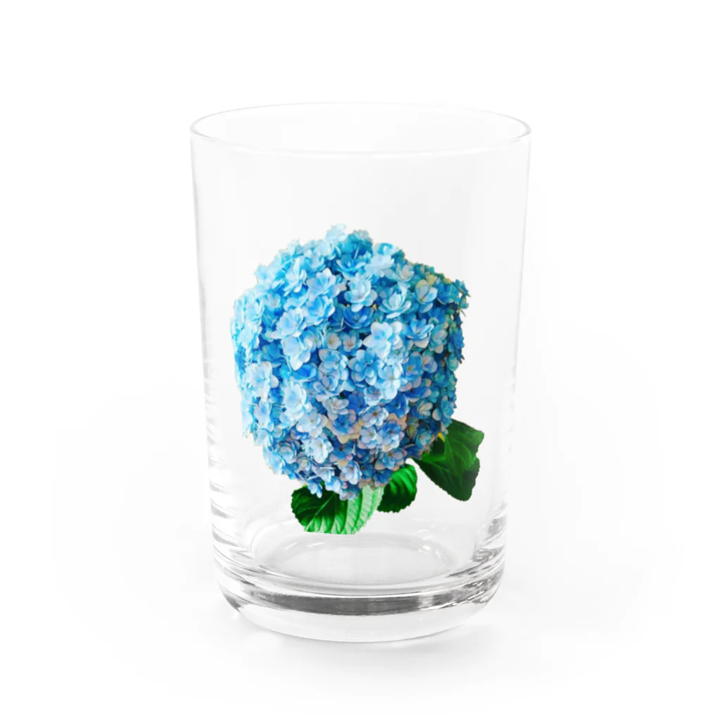 aiueoneko358のあじさい Water Glass :front