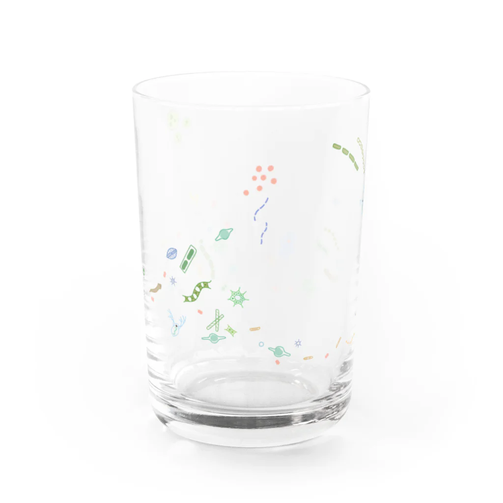 まめうにのプランクトンを飲み干す Water Glass :front