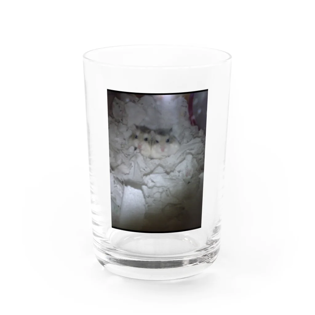 SUMOMOのハムハムハム太郎 Water Glass :front