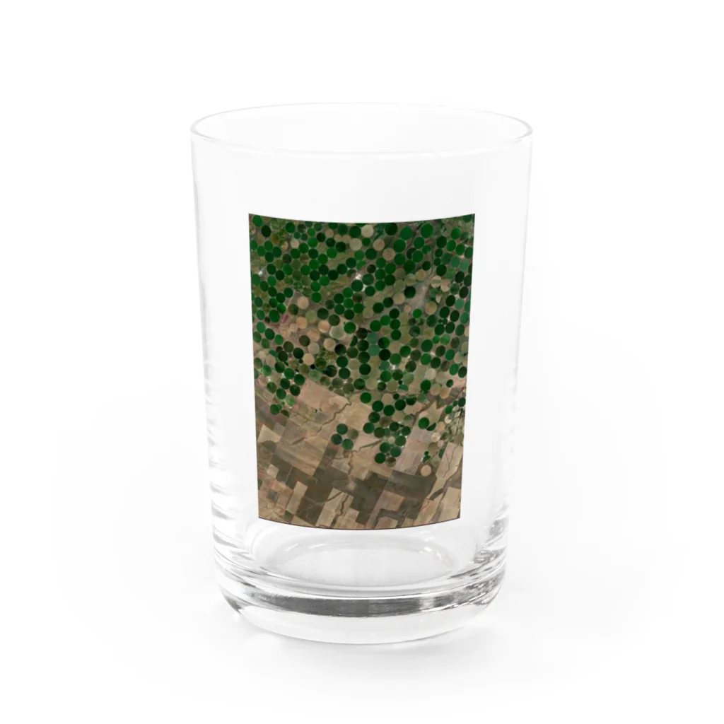 K.G.Bのnojoe Water Glass :front