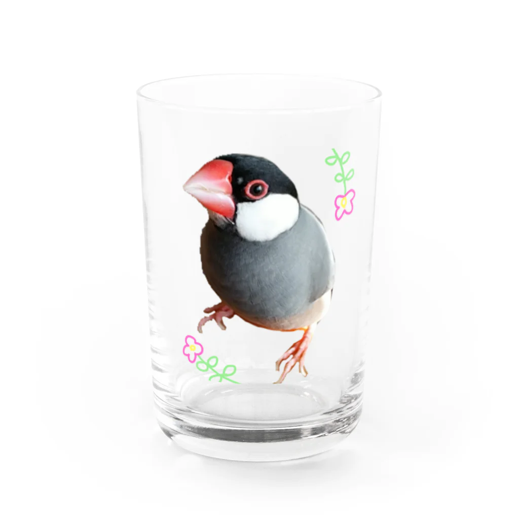 harupink🌸ペット似顔絵illustのFLOWER文鳥さん Water Glass :front