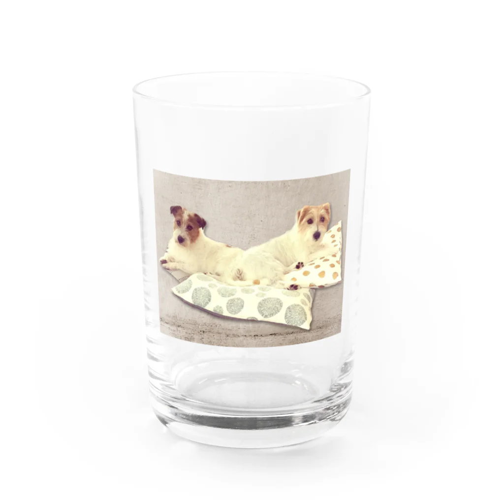 yunoyunojack の座っておすましブラザーズ Water Glass :front