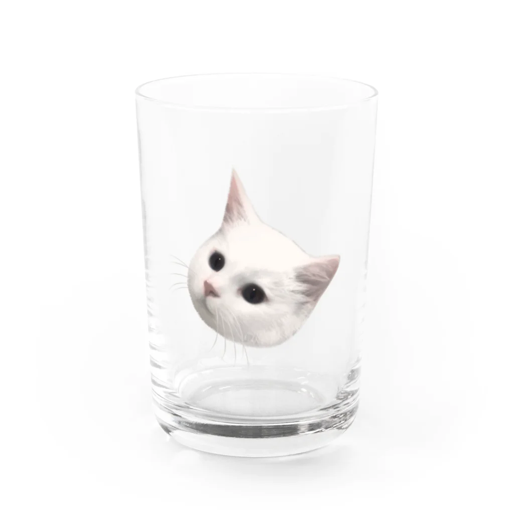ゆれる銀の白猫の恋ちゃん Water Glass :front