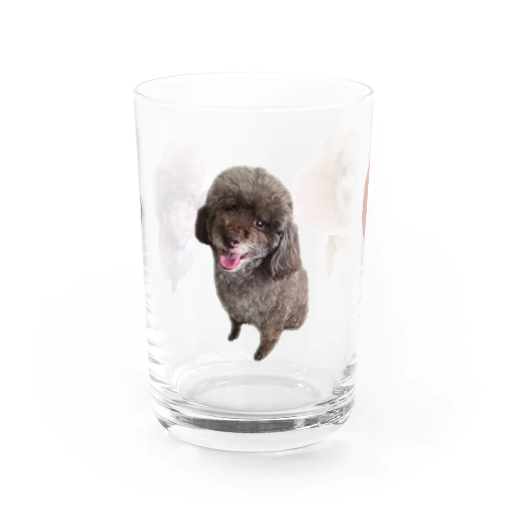 イケタニ カナタロウのプードルず Water Glass :front