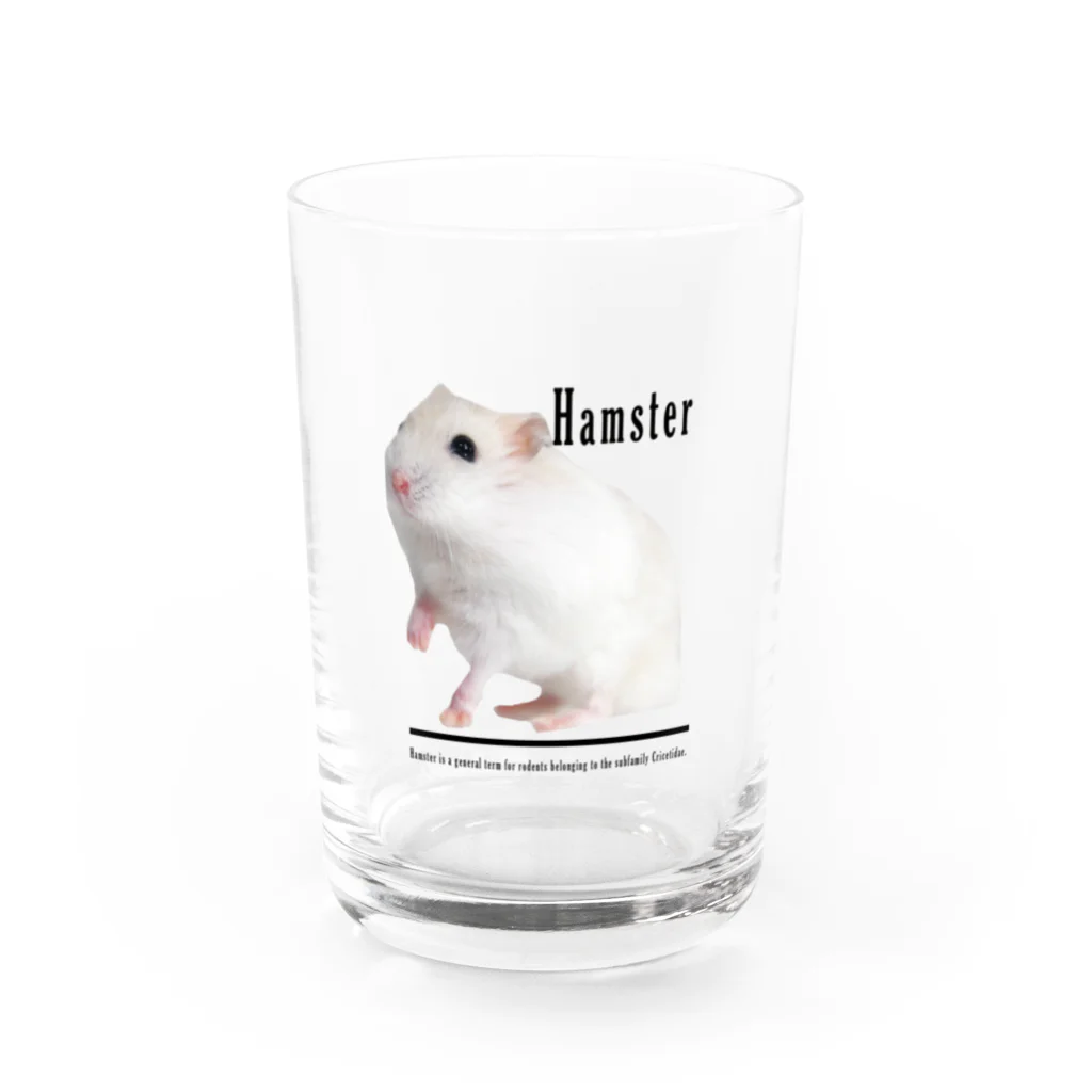 ハムスターといつでも一緒★のハムスター Water Glass :front