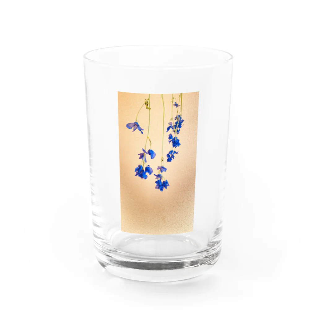 花畑写真館🌷の#6 蒼色のドライフラワー グラス前面