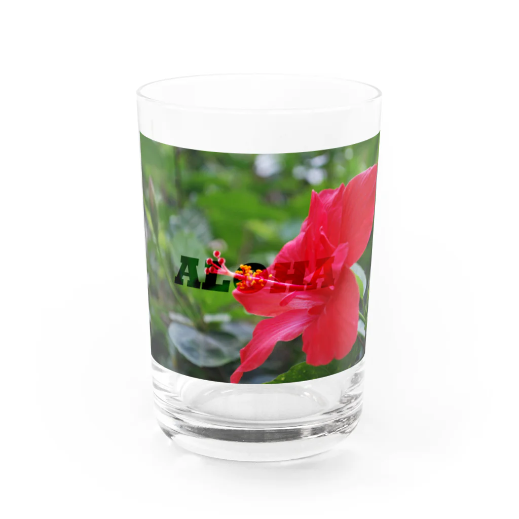 Aloha Blue Skyのハイビスカス Water Glass :front