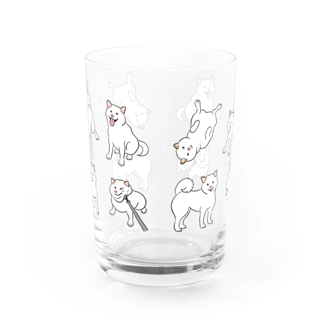 chippokeの白柴いろいろ Water Glass :front