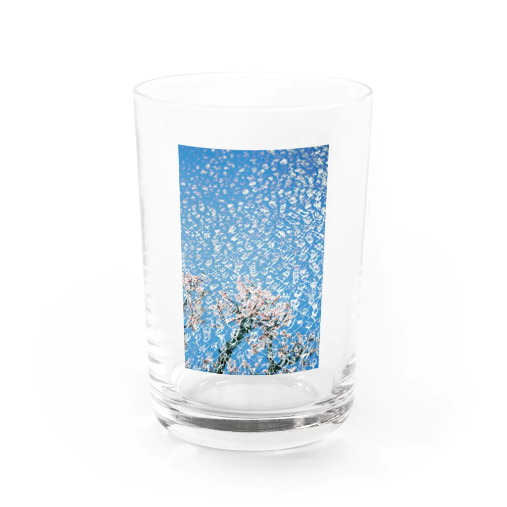 niwakungfuのsakura Water Glass :front