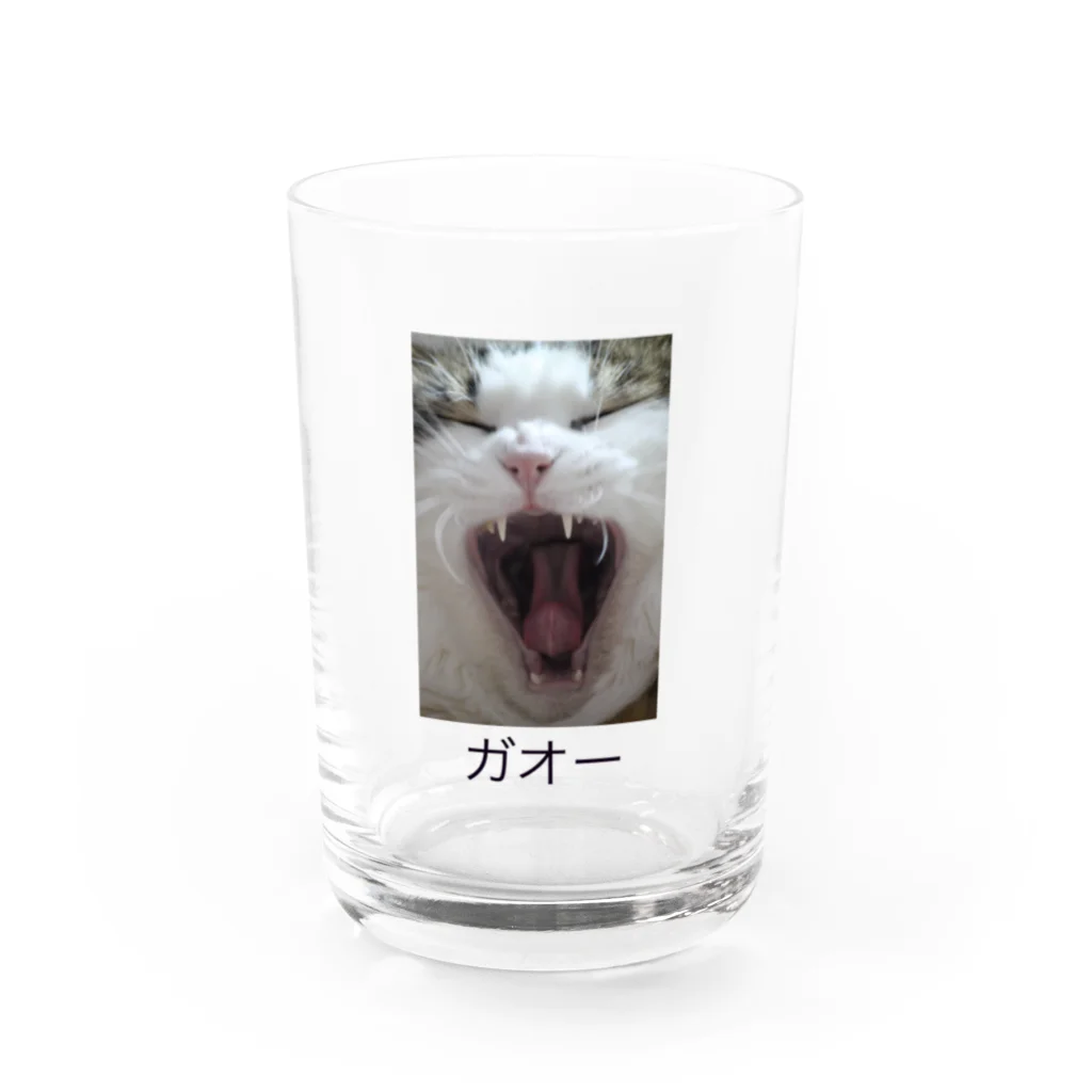 colorisのガオーネコ Water Glass :front