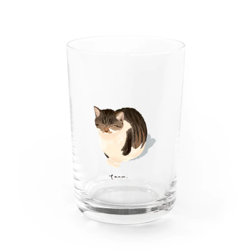 たぬ〜ショップのたぬップ Water Glass :front