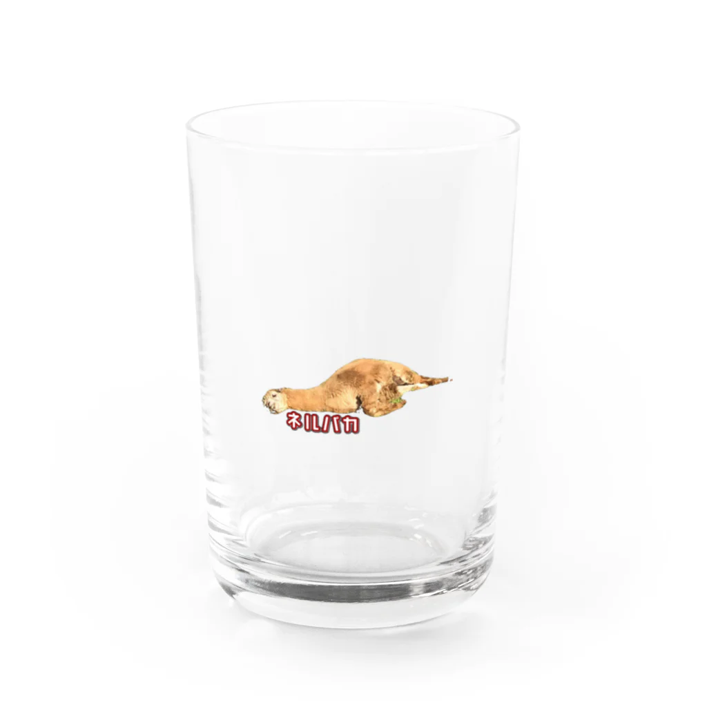 K.G.Bのネルパカ Water Glass :front