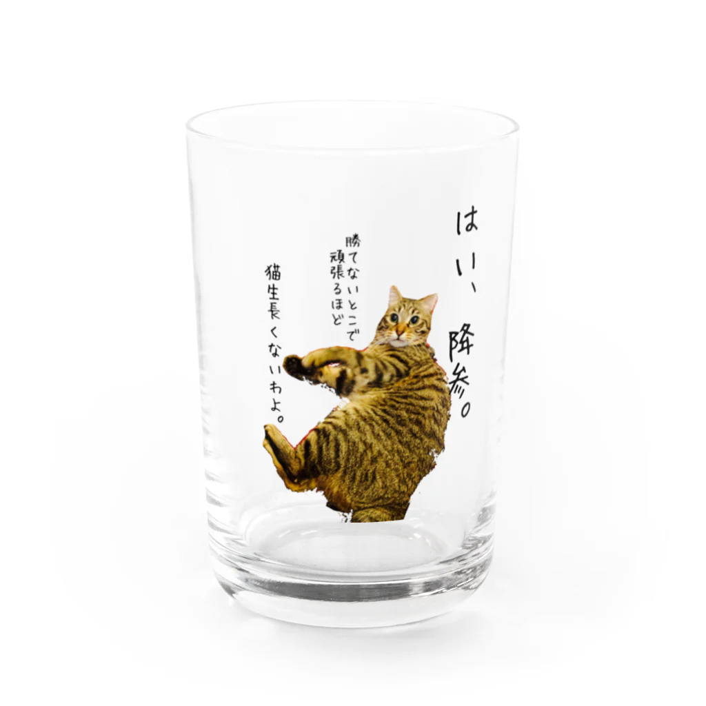 Fuu and Mar 🐾のおしゃべりフー Water Glass :front