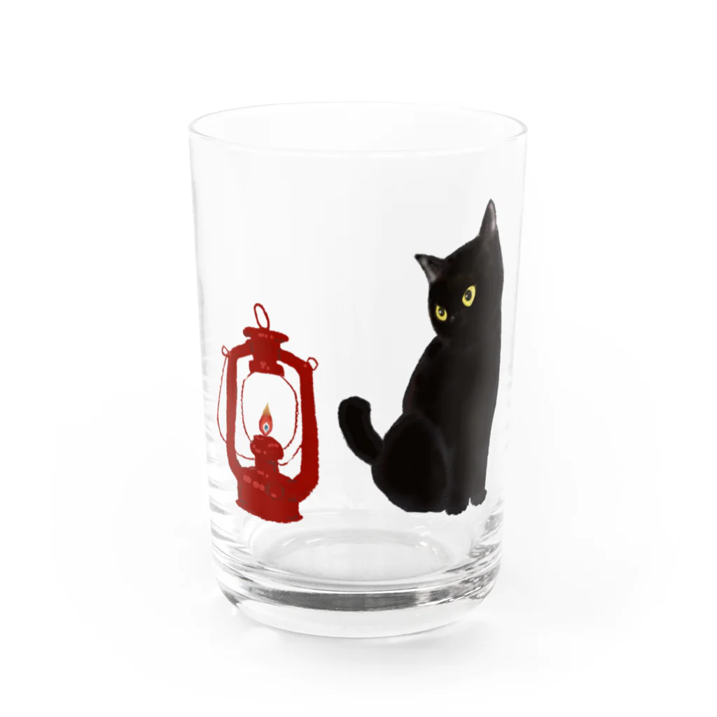 WAMI ARTのランタン猫 Water Glass :front