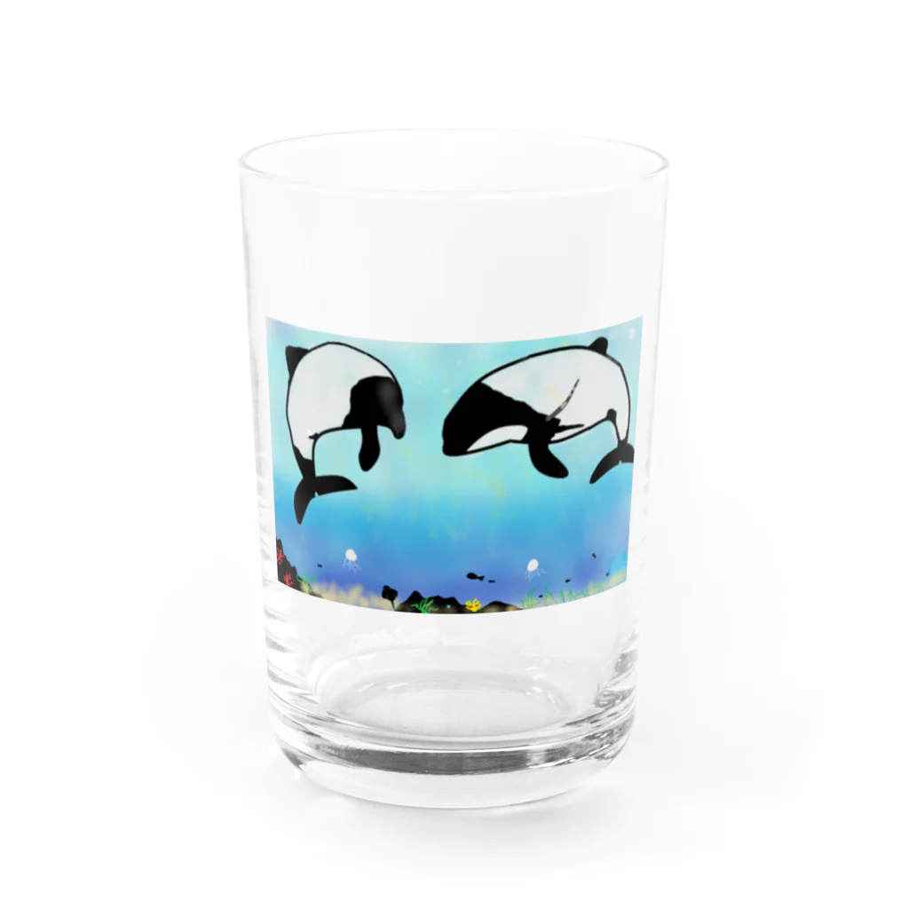 baddogのイロワケイルカ Water Glass :front