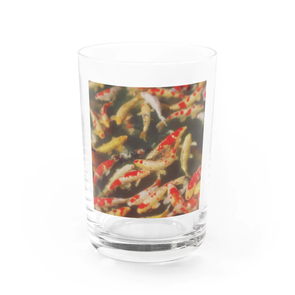 FumiProgrammerの鯉 Water Glass :front