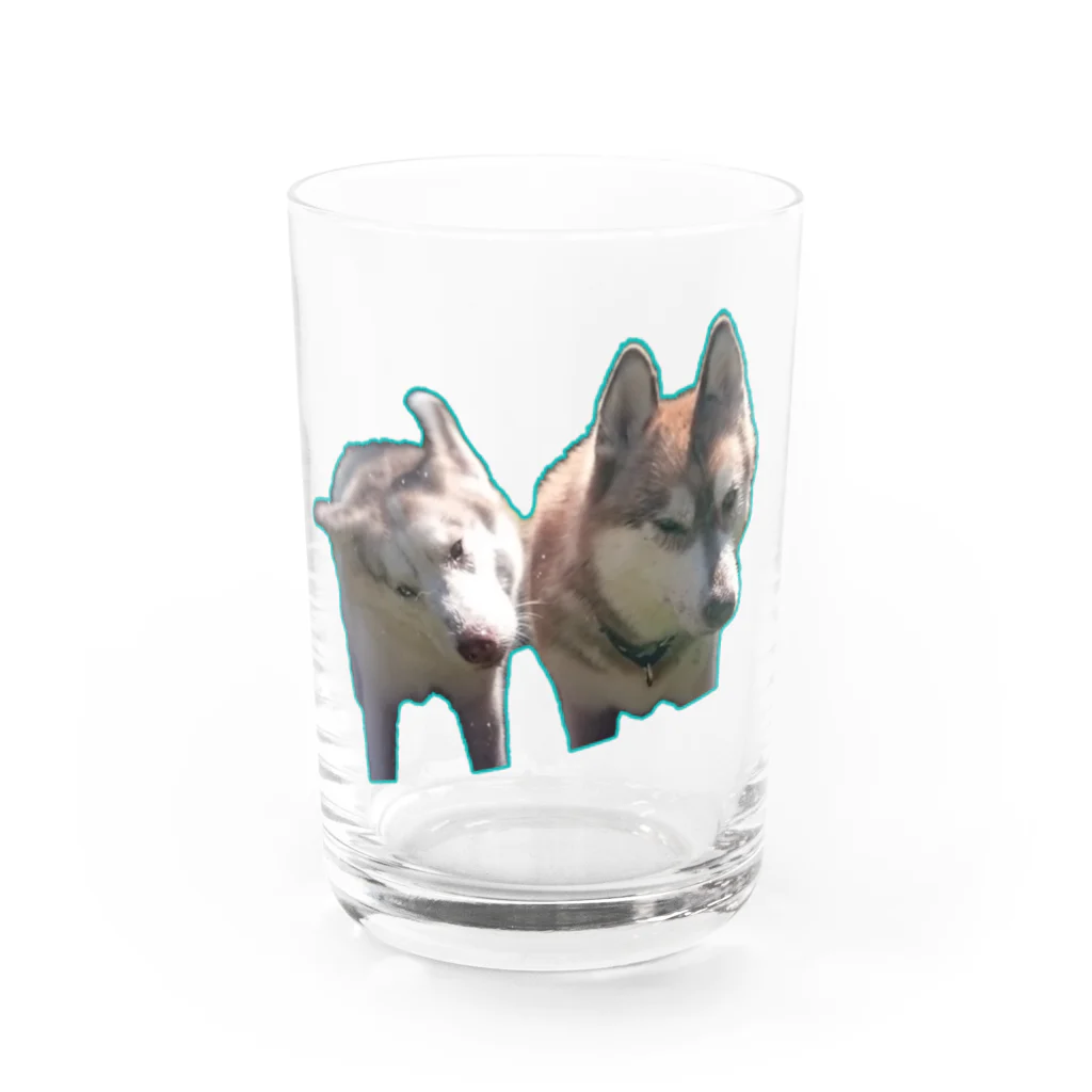 伽藍堂別邸のぶるぶるハスキー・いやいやハスキー Water Glass :front