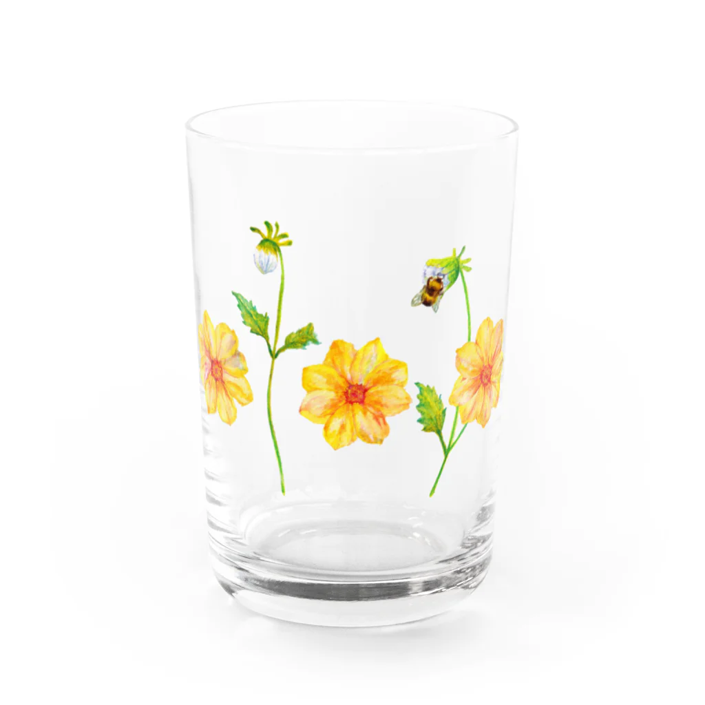 HosoMitsu-painterの黄色いダリア Water Glass :front