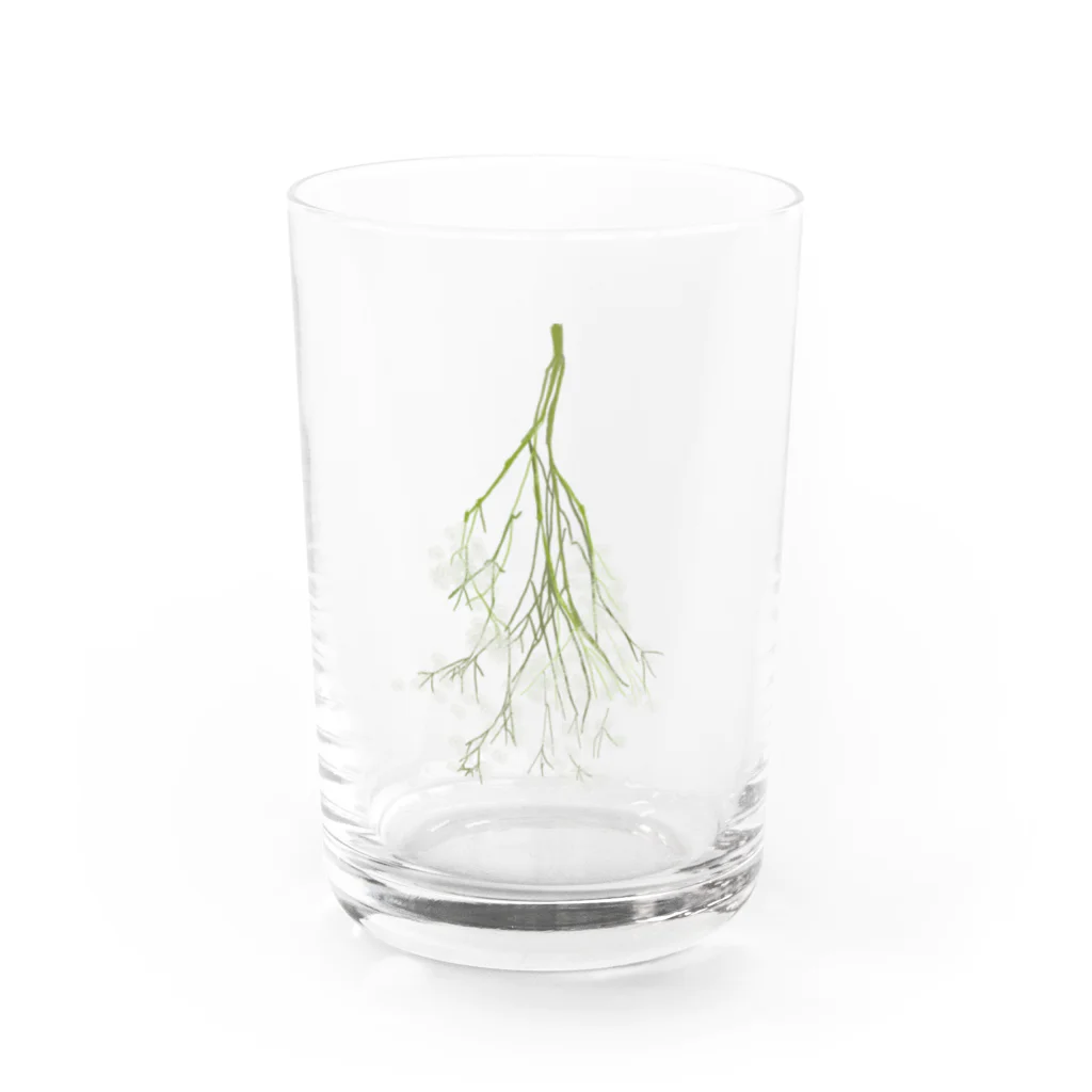 emi flowerのかすみ草をそばに Water Glass :front