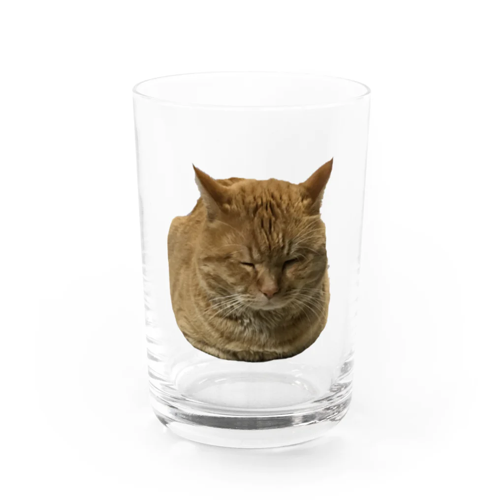 素敵屋のおやすみにゃんこリリー Water Glass :front