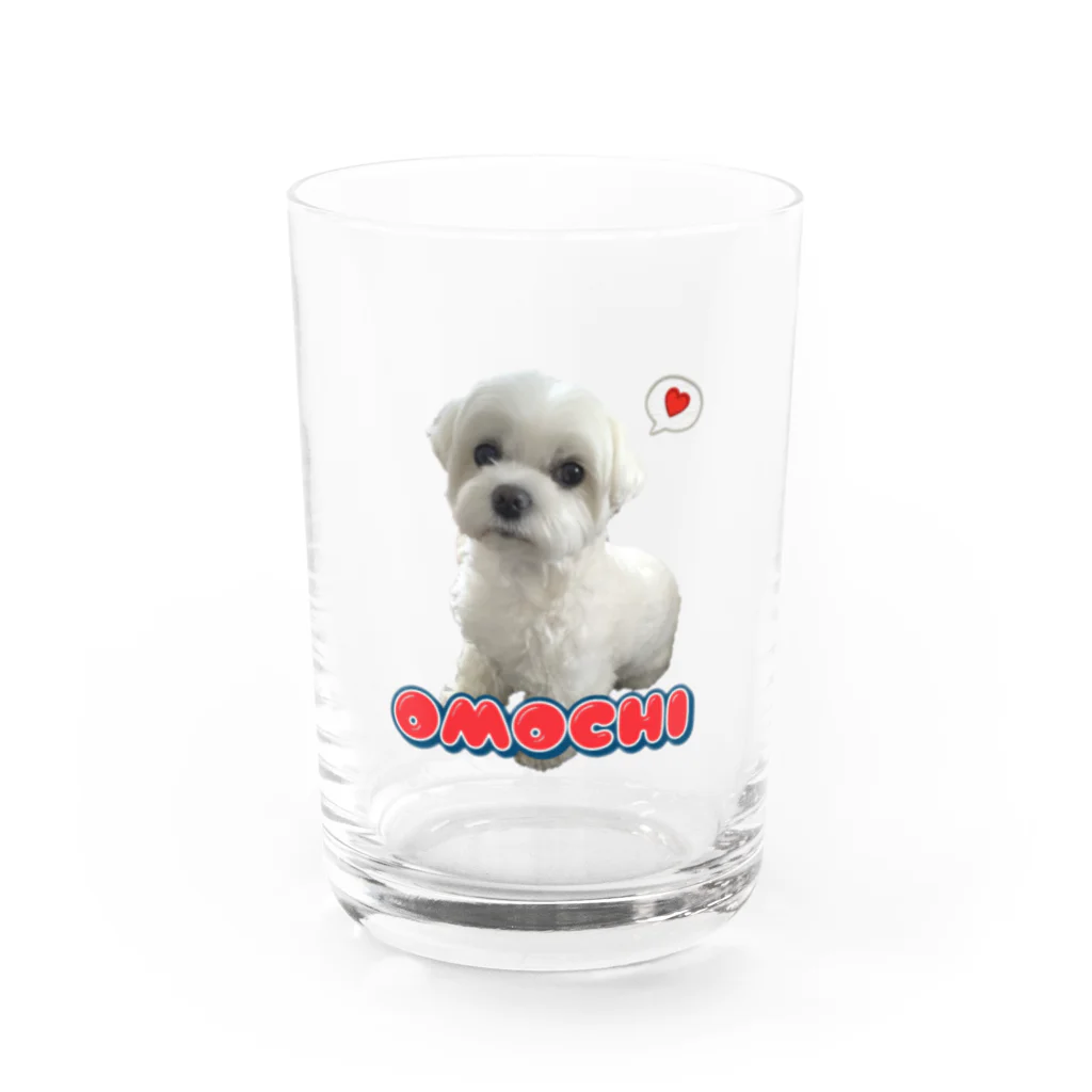 マルチーズ専門店のマルチーズのおもち Water Glass :front