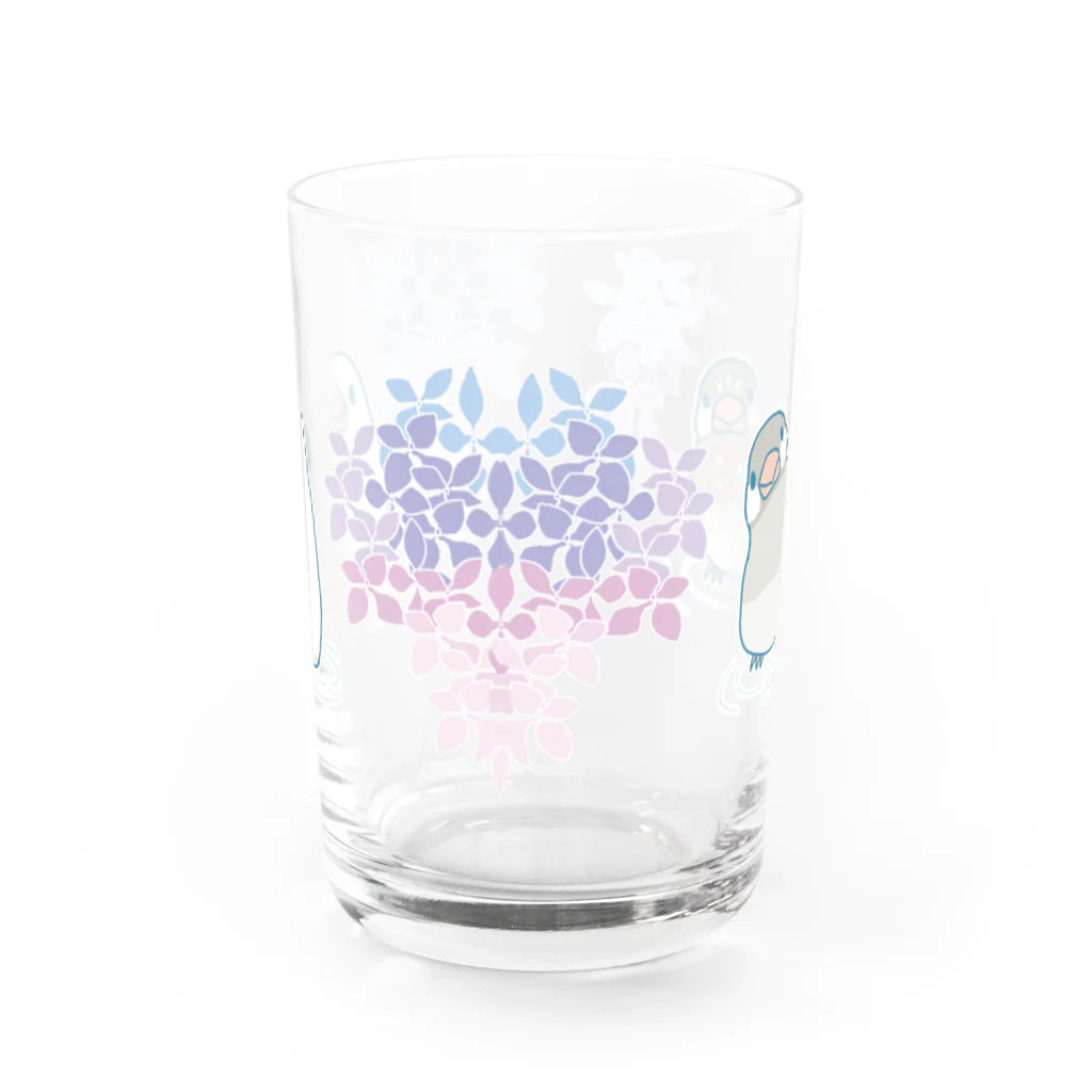 BUNCHOBOXのあじさい文鳥さん Water Glass :front