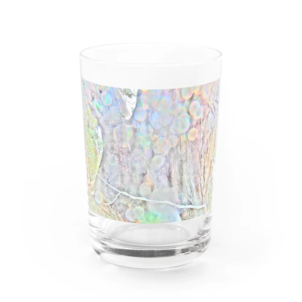 光の司　ひかりのつかさの三陸大王杉 Water Glass :front