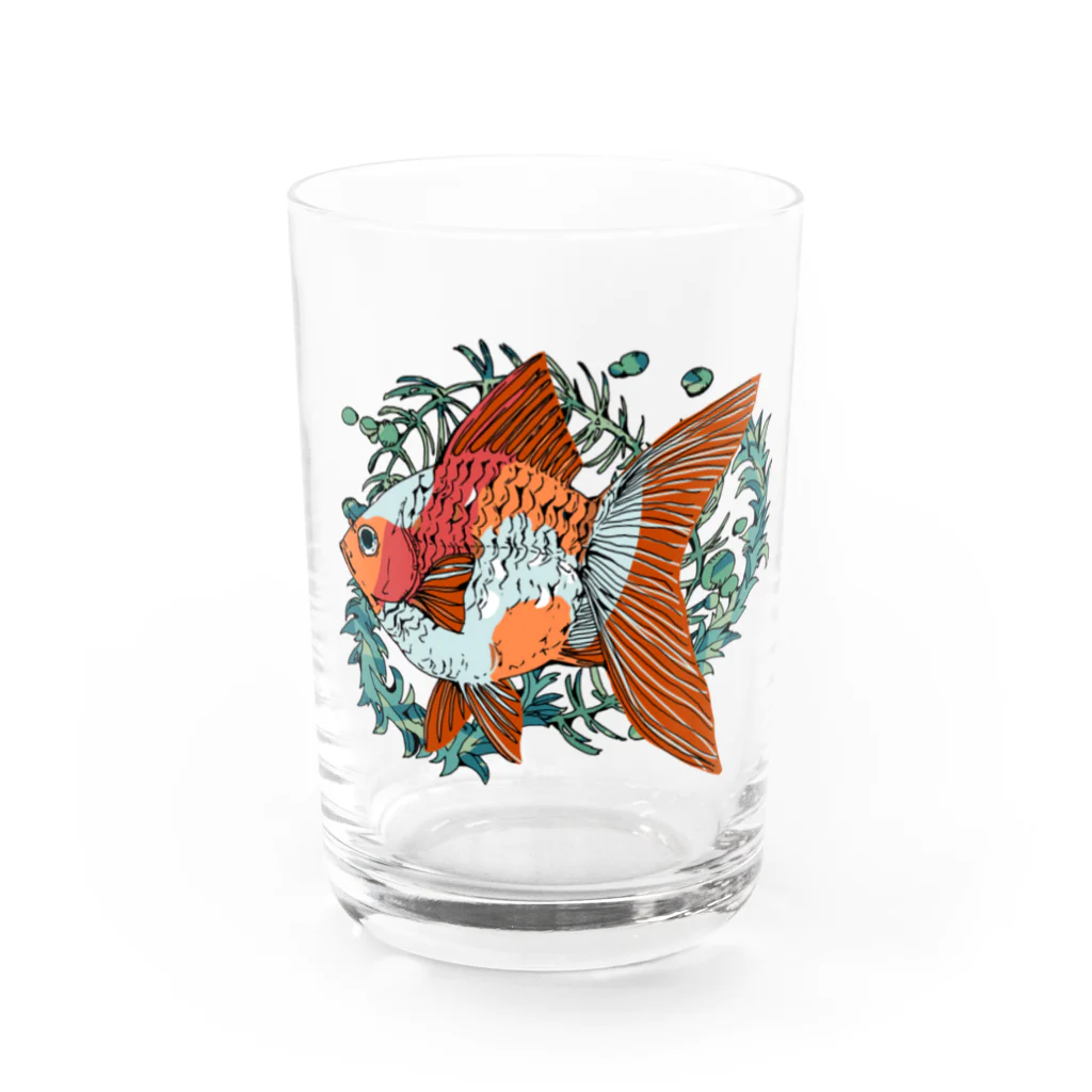 恒福水路の金魚（琉金）グラス グラス前面