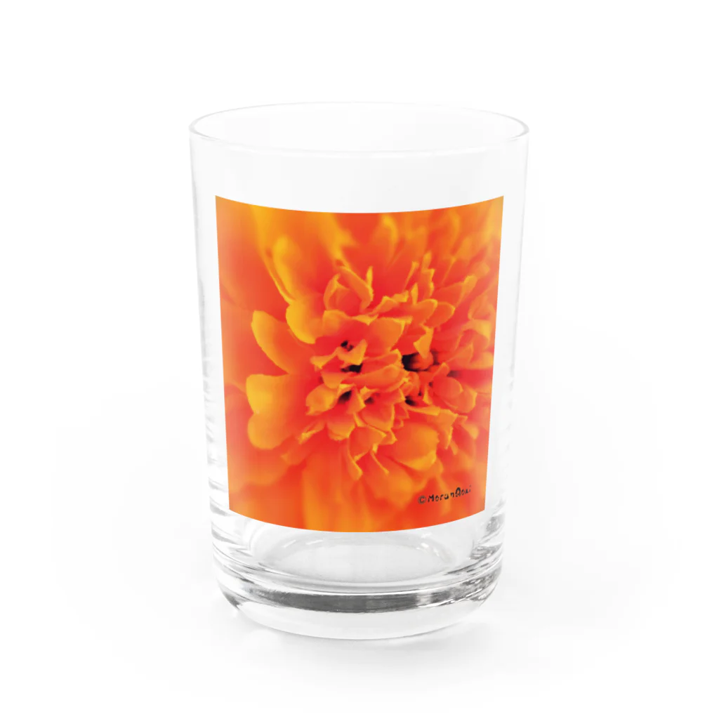 あおちゃん商会のMarigold （マリーゴールド）オレンジ Water Glass :front