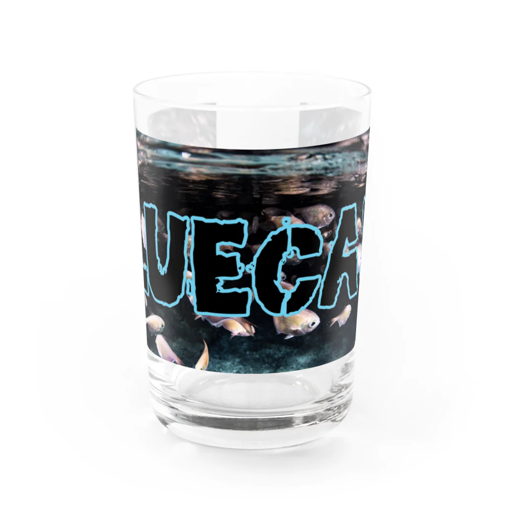 (株)えくぼの[BLUECAVEロゴ] Water Glass :front