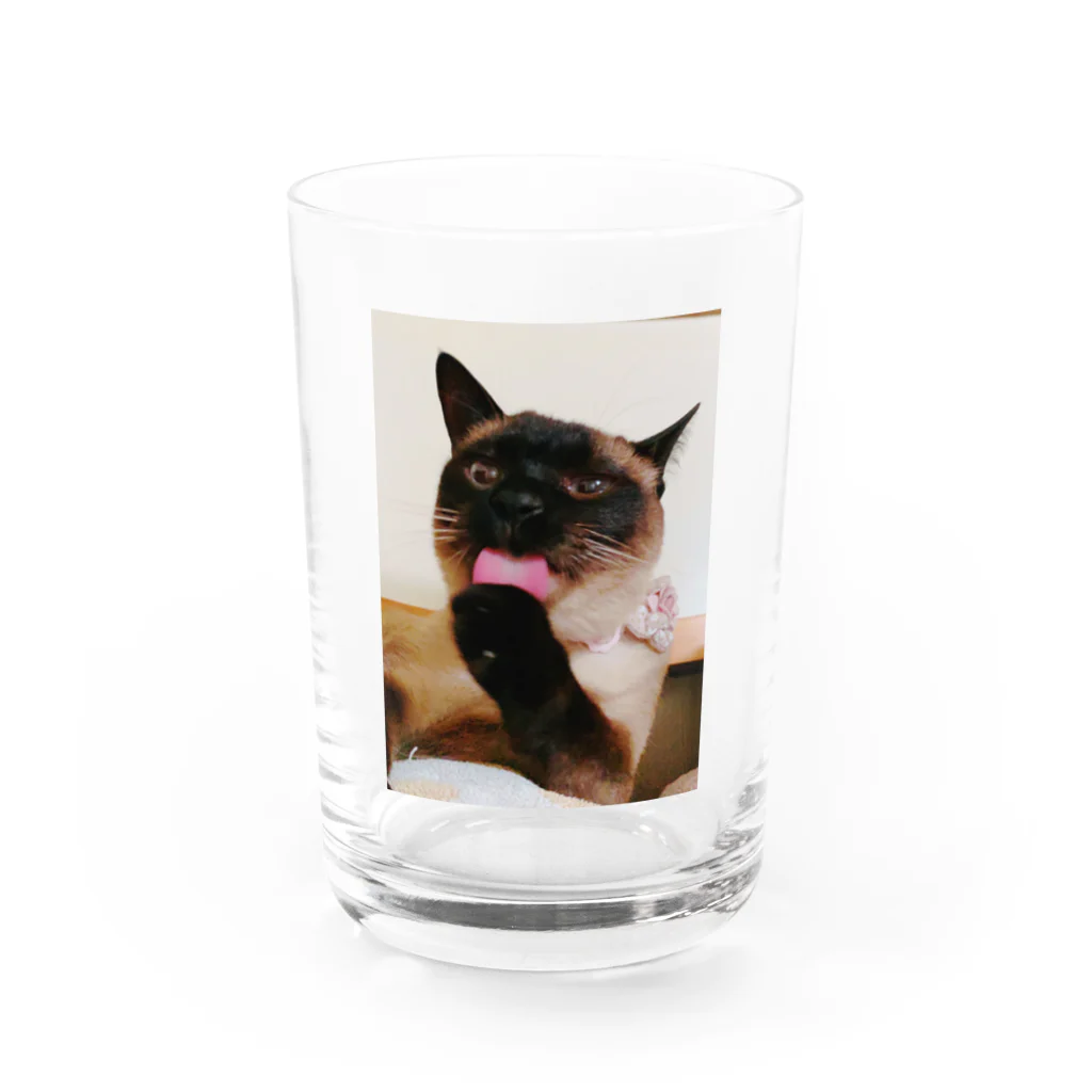 Siamese cat シャムの海♡ Water Glass :front