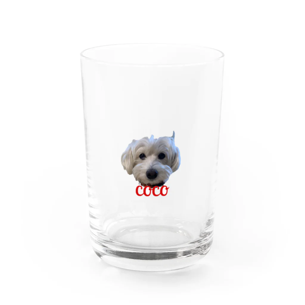 caicaiziのcoco Water Glass :front