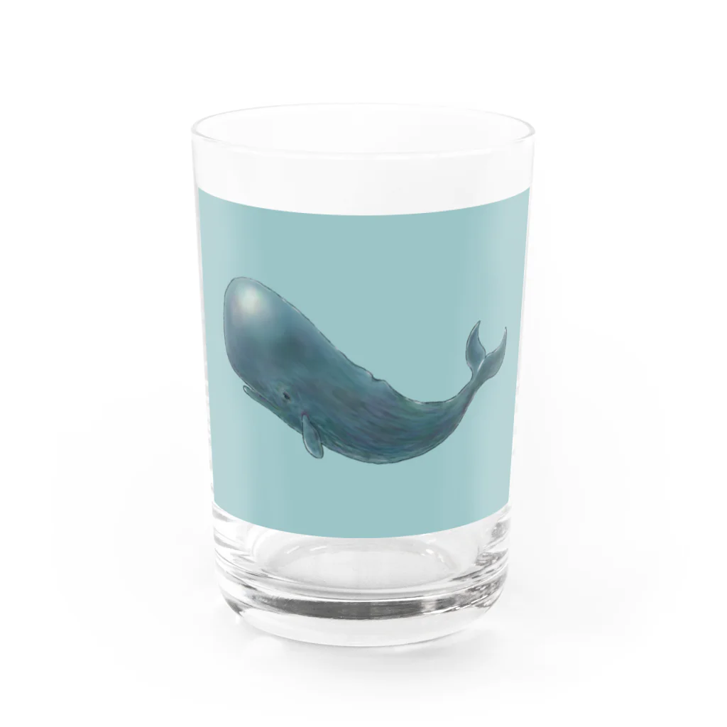 はちえんのお店のくじらくん（文字なし） Water Glass :front