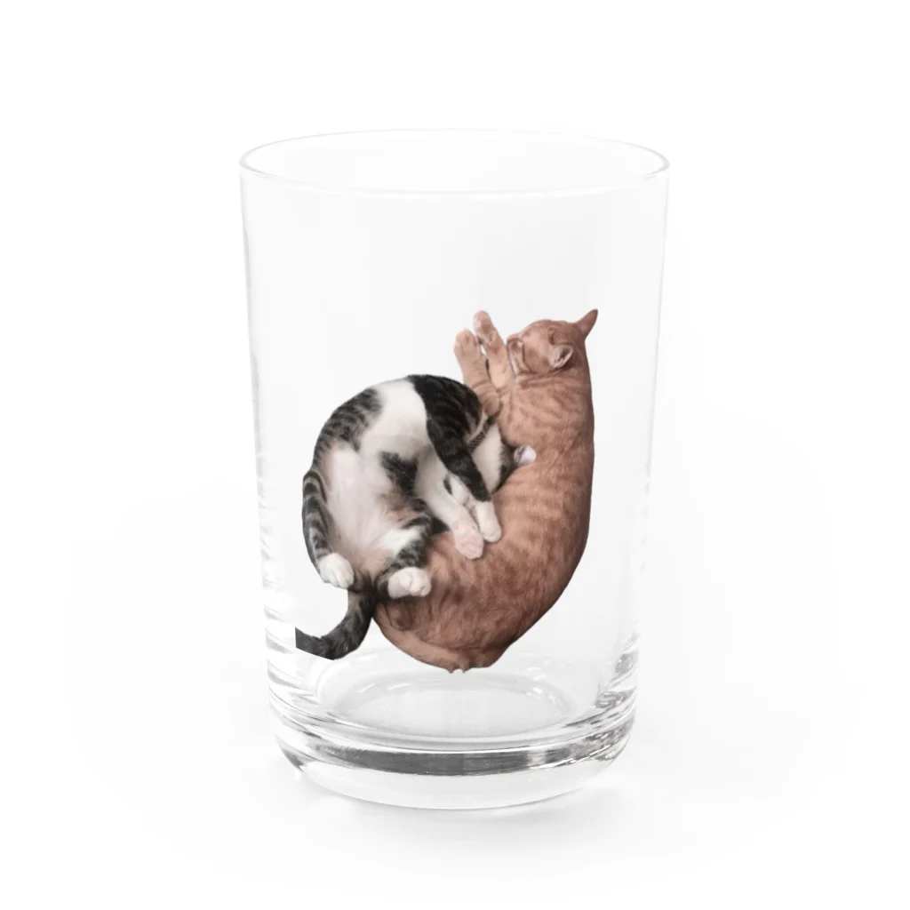 ナカムラショップのひとんちのねこ（にひき） Water Glass :front