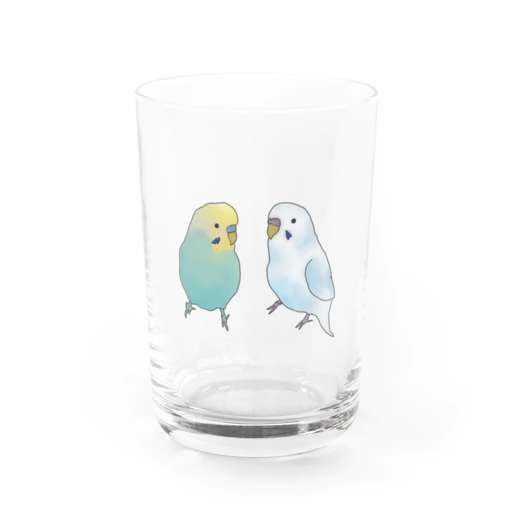 Talkingのセキセイインコ Water Glass :front