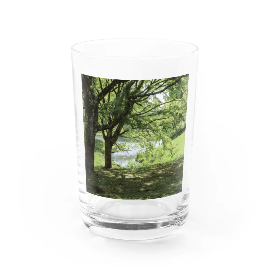 akane_art（茜音工房）の癒しの風景（樹木） Water Glass :front