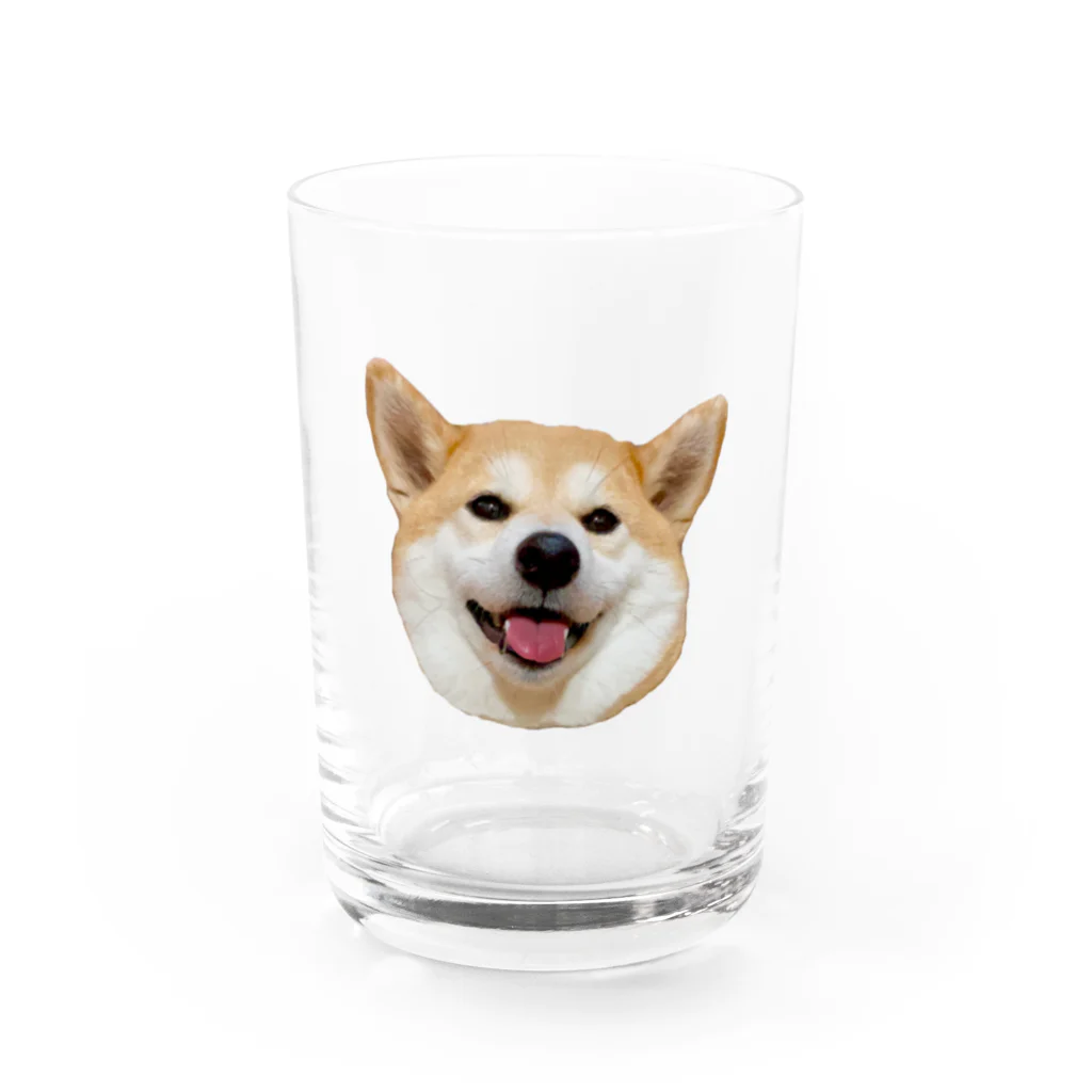 しば犬まる子とぽちのみせの柴犬のまるちゃん Water Glass :front