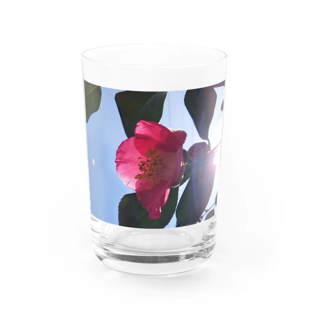 Ukazuのつばき Water Glass :front