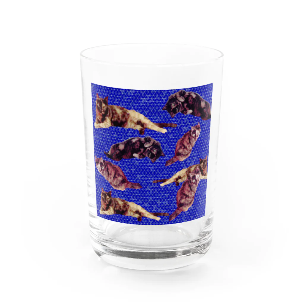 水彩屋のサビ猫で虎柄 Water Glass :front