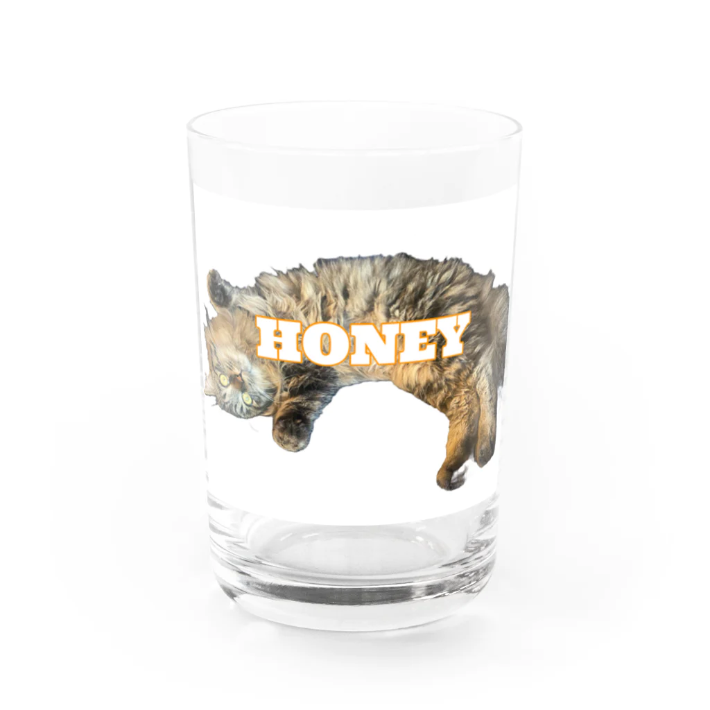 あちゃしょっぷのHONEY（オレンジ） Water Glass :front