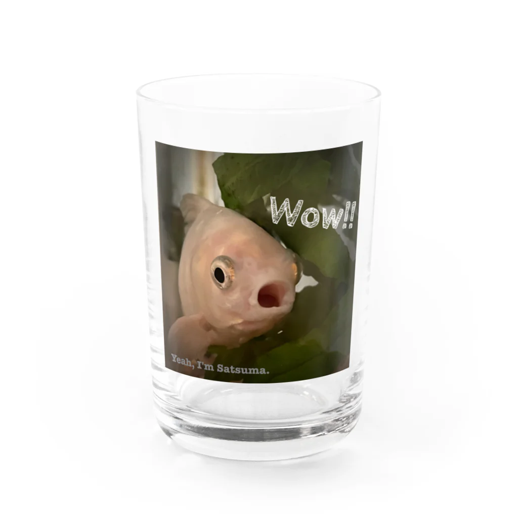 さつまのおみせのうちの金魚 さつまさん Water Glass :front